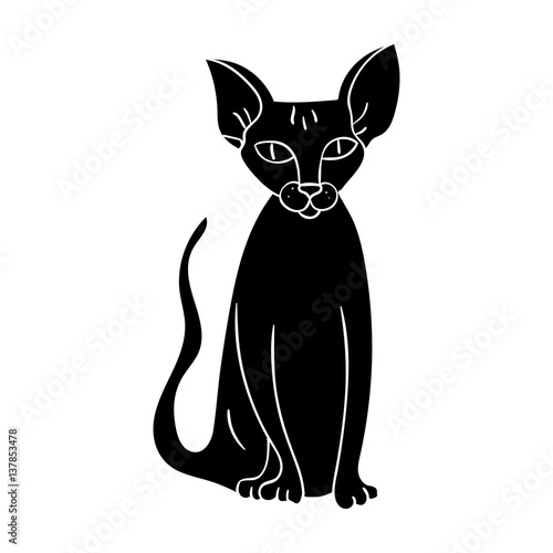 Peterbald icon in black style isolated on white background. Cat breeds symbol stock vector illustration.