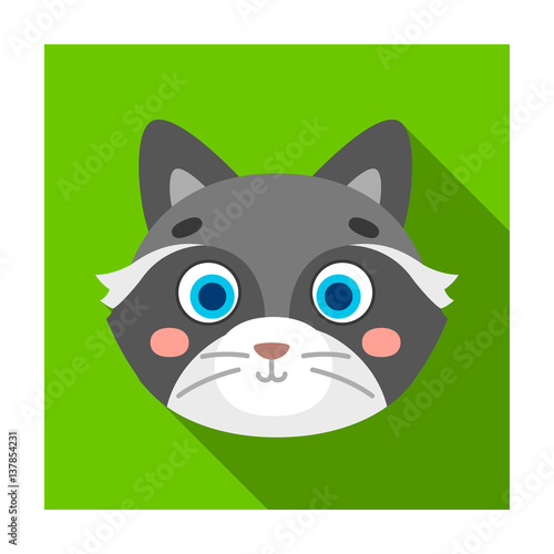 Raccoon muzzle icon in flat style isolated on white background. Animal muzzle symbol stock vector illustration.