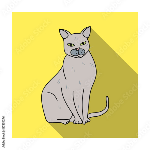 Chartreux icon in flat style isolated on white background. Cat breeds symbol stock vector illustration.