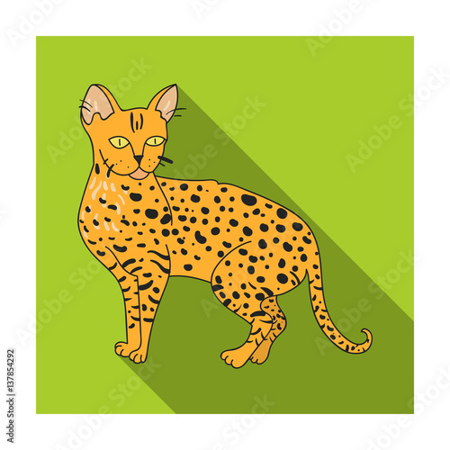 Savannah icon in flat style isolated on white background. Cat breeds symbol stock vector illustration.