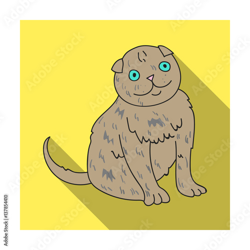 Scottish Fold icon in flat style isolated on white background. Cat breeds symbol stock vector illustration.