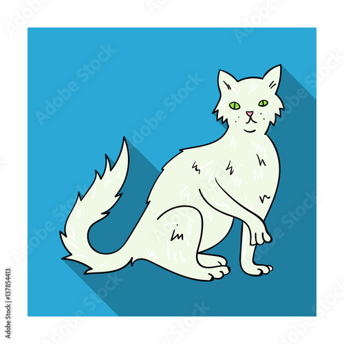 British Semi-longhair icon in flat style isolated on white background. Cat breeds symbol stock vector illustration.