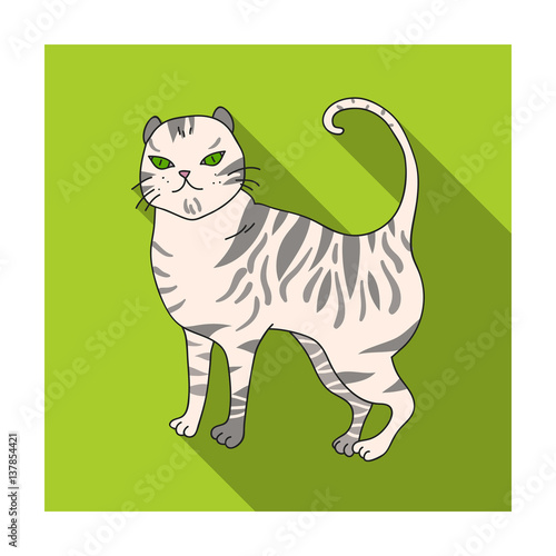 British Shorthair icon in flat style isolated on white background. Cat breeds symbol stock vector illustration.