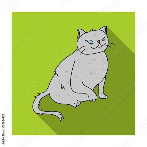 York Chocolate icon in flat style isolated on white background. Cat breeds symbol stock vector illustration.