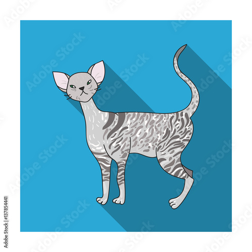 Cornish Rex icon in flat style isolated on white background. Cat breeds symbol stock vector illustration.