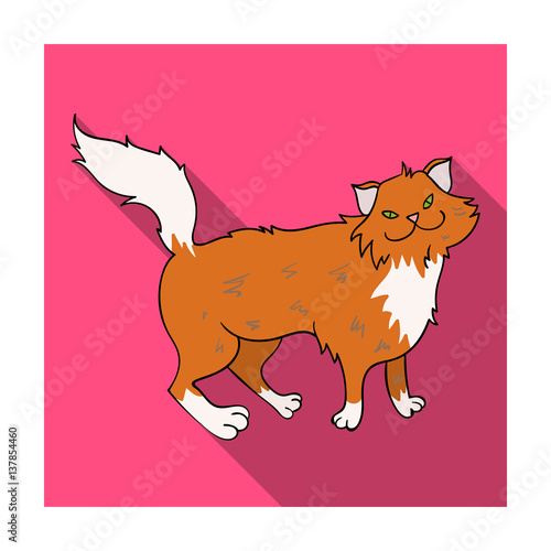 Norwegian Forest Cat icon in flat style isolated on white background. Cat breeds symbol stock vector illustration.