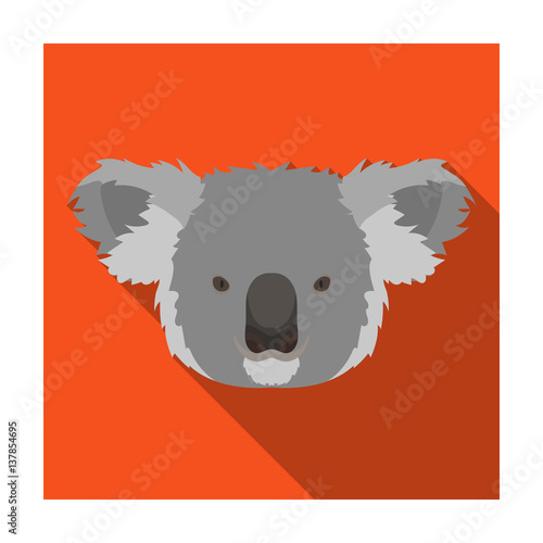 Koala icon in flat style isolated on white background. Realistic animals symbol stock vector illustration. photo