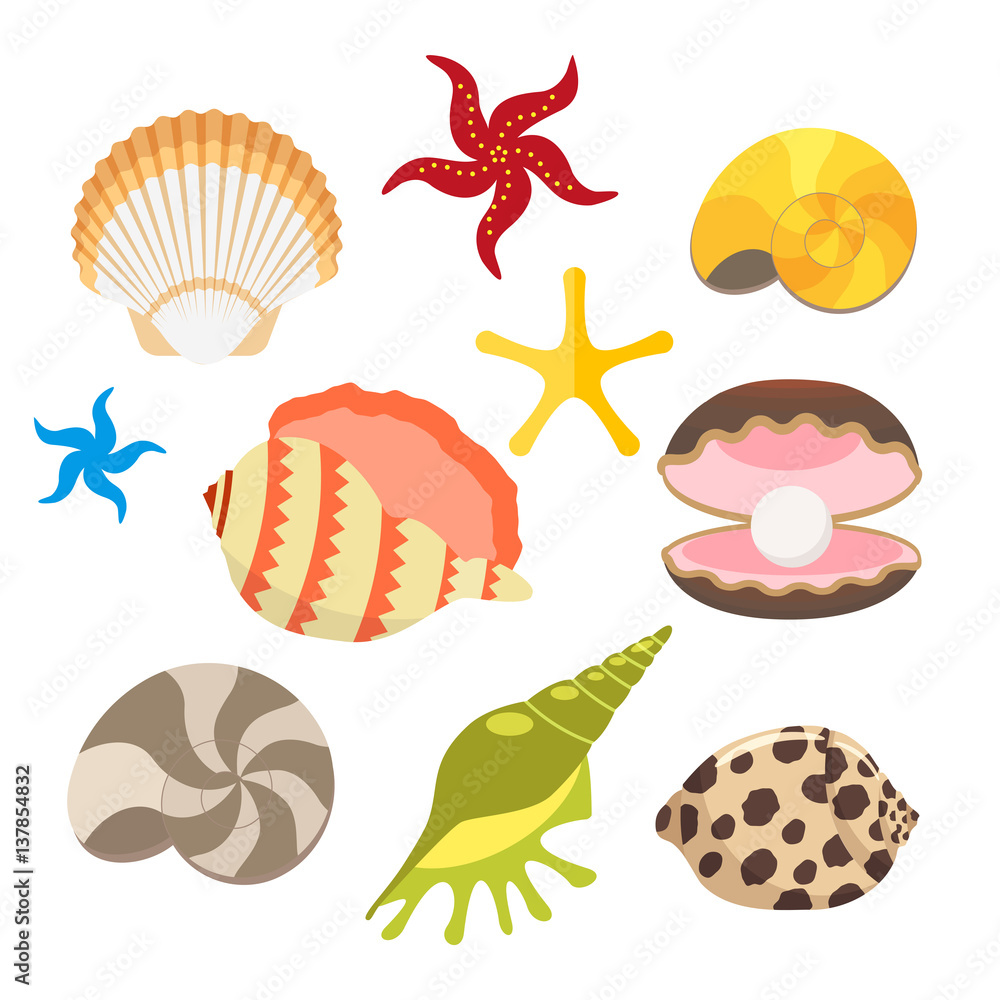 Set of sea shells, oysters with pearls and sea stars, snails. Vector, illustration in flat style isolated on white background EPS10.