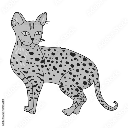 Savannah icon in monochrome style isolated on white background. Cat breeds symbol stock vector illustration.