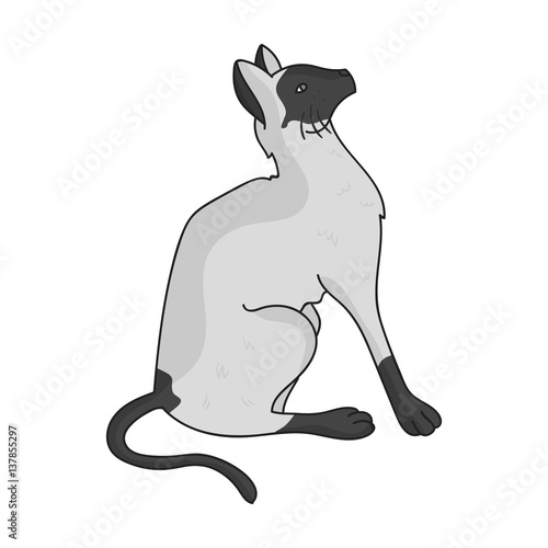 Siamese icon in monochrome style isolated on white background. Cat breeds symbol stock vector illustration.
