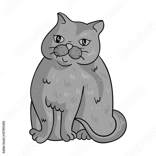 Exotic Shorthair icon in monochrome style isolated on white background. Cat breeds symbol stock vector illustration.