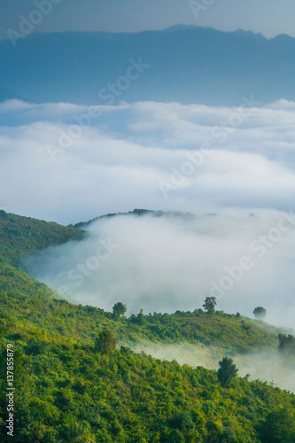 Ocean Of Mist