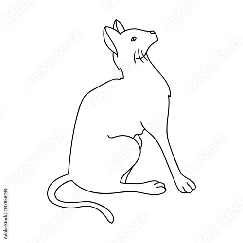 Siamese icon in outline style isolated on white background. Cat breeds symbol stock vector illustration.