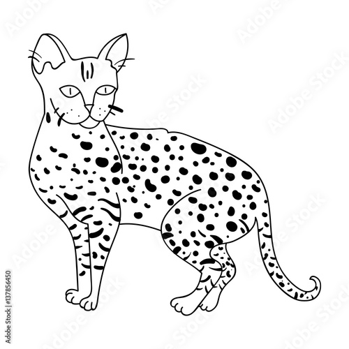Savannah icon in outline style isolated on white background. Cat breeds symbol stock vector illustration.