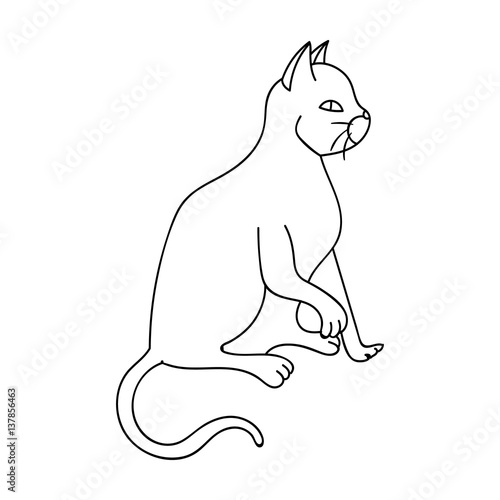 American Shorthair icon in outline style isolated on white background. Cat breeds symbol stock vector illustration.