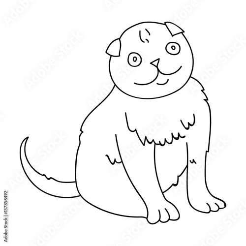Scottish Fold icon in outline style isolated on white background. Cat breeds symbol stock vector illustration.