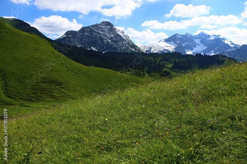 Mountain landscape with green meadows and sunshine