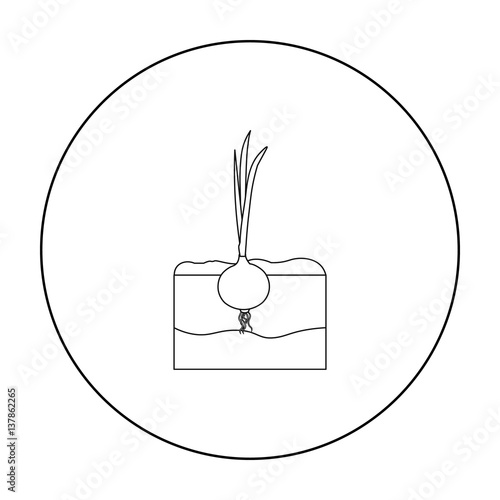 Onion icon outline. Single plant icon from the big farm, garden, agriculture outline.