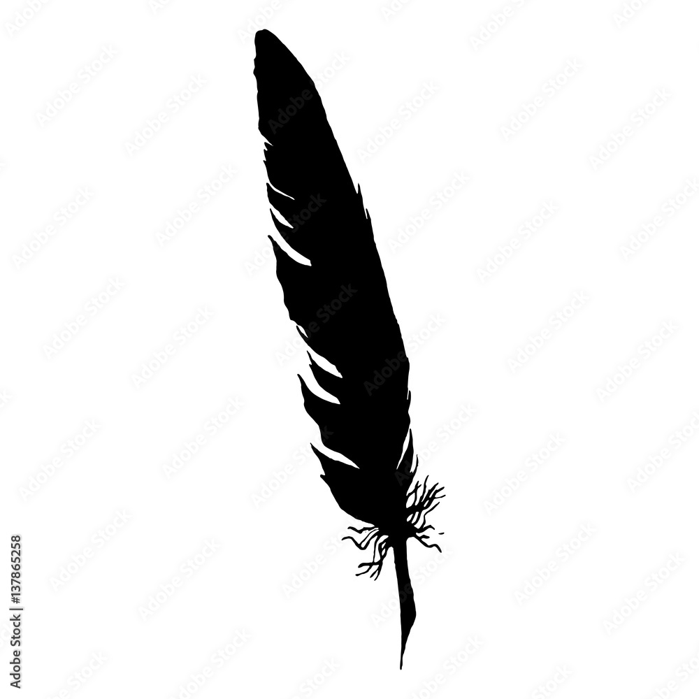 Silhouette black and white monochrome feather isolated vector Silhouette black and white monochrome feather isolated vector