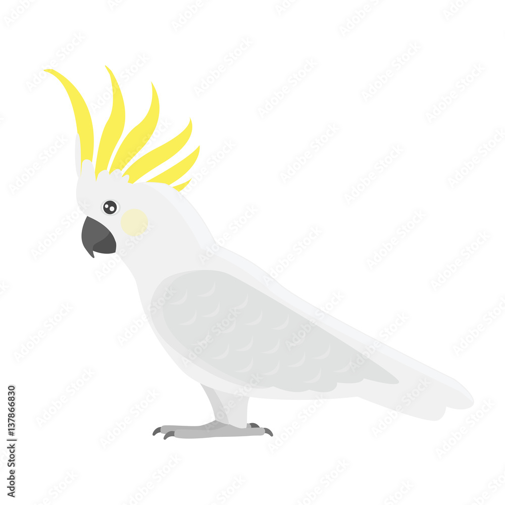 Fototapeta premium Kreskówka tropikalna papuga Kakadu dzikiego ptaka ilustracji wektorowych.