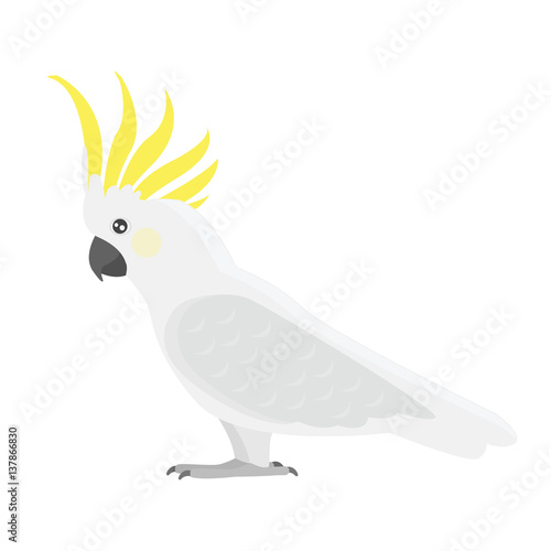 Cartoon tropical cockatoo parrot wild animal bird vector illustration.