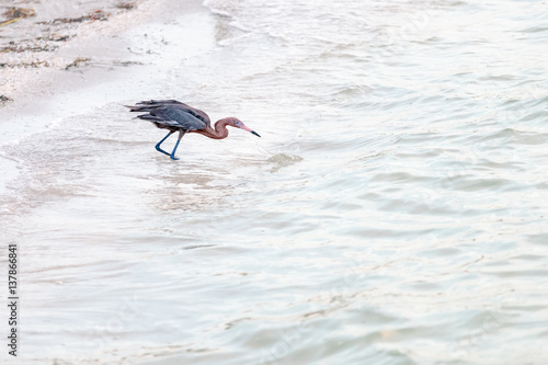 Fishing on the shoreline