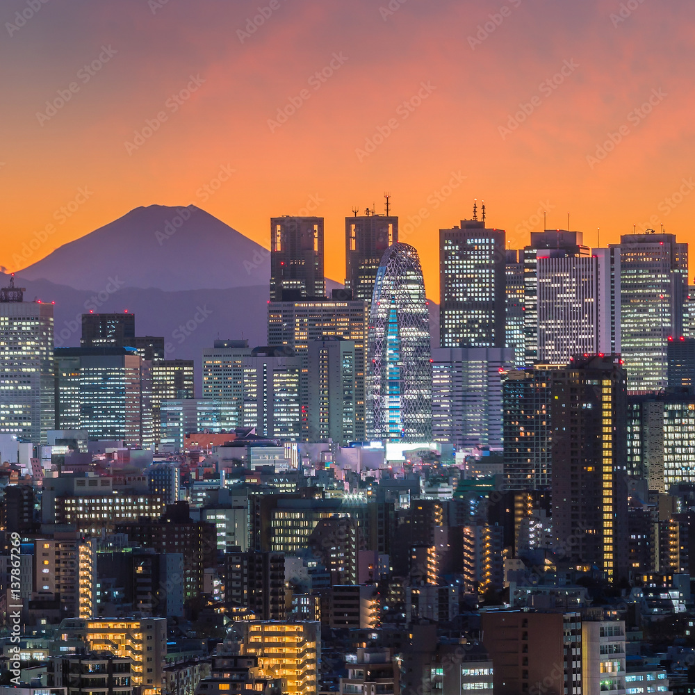 Obraz premium Tokyo skyline and Mountain fuji