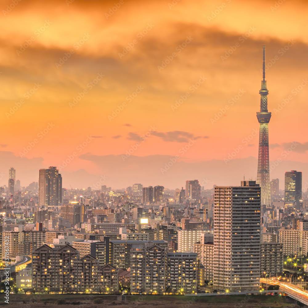 Fototapeta premium Tokio miasta linia horyzontu przy zmierzchem