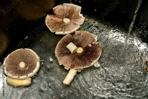 Agaricus arvensis, mushroom recipe, Cut and cleaned before being cooked.