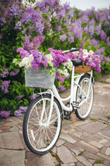 Leinwandbilder Fahrrad Weisses Retro Fahrrad mit Blumenkorb  © Elizabeth