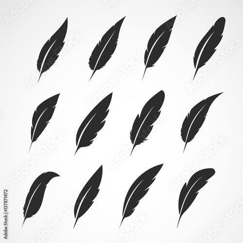 Vector group of feather on white background.