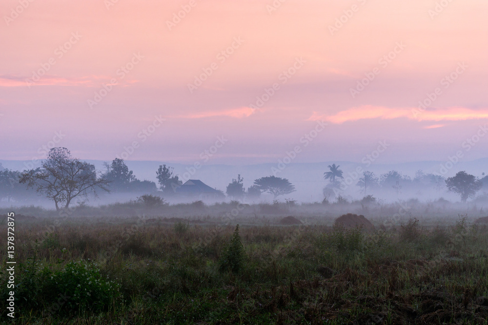 Misty morning in  the countryside of Thailand.