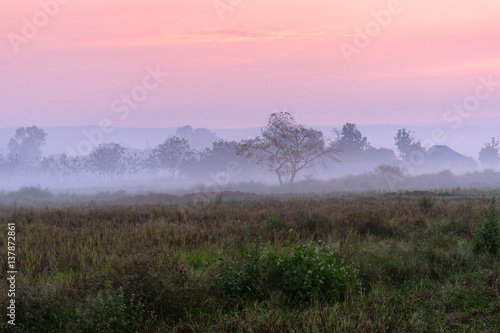 Misty morning in the countryside of Thailand.