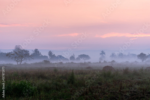 Misty morning in the countryside of Thailand.