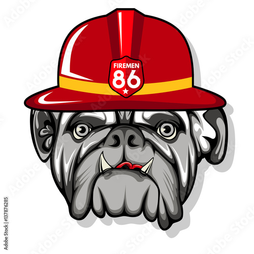 bulldog fireman