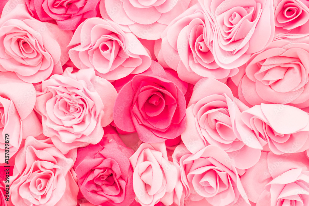 beautiful rose background beautiful rose background