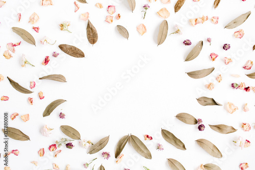 Round frame wreath pattern with pink rose petals and dried leaves on white background. Flat lay, top view. Flower mockup background