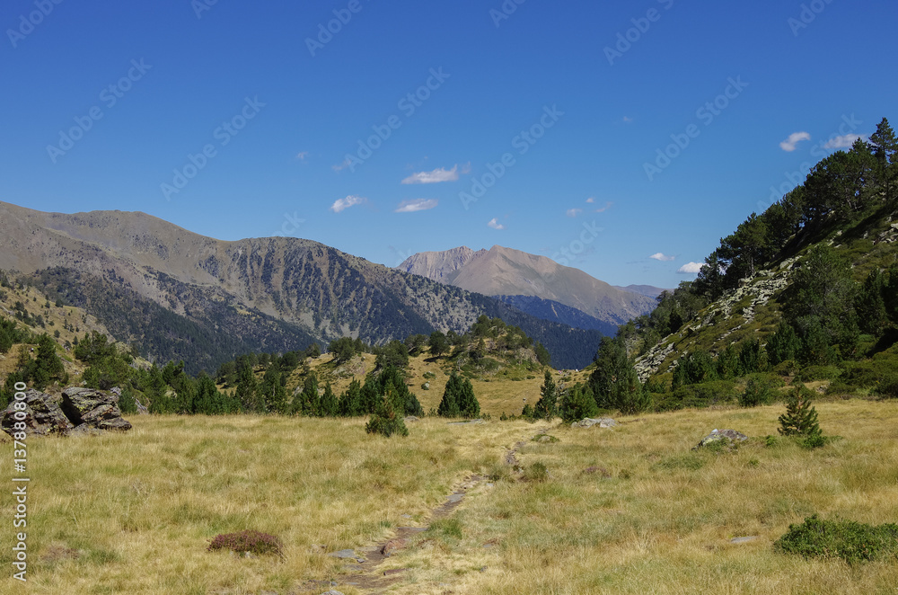 Mountain valley in Pyrenees near Coma Pedrosa peak. Andorra