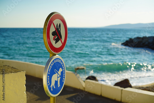 No dogs signs close to the beach.