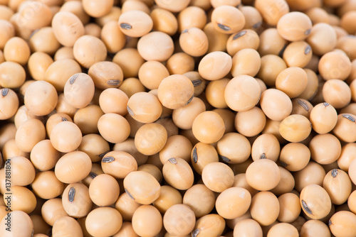 Macro shot of soybeans fills the frame