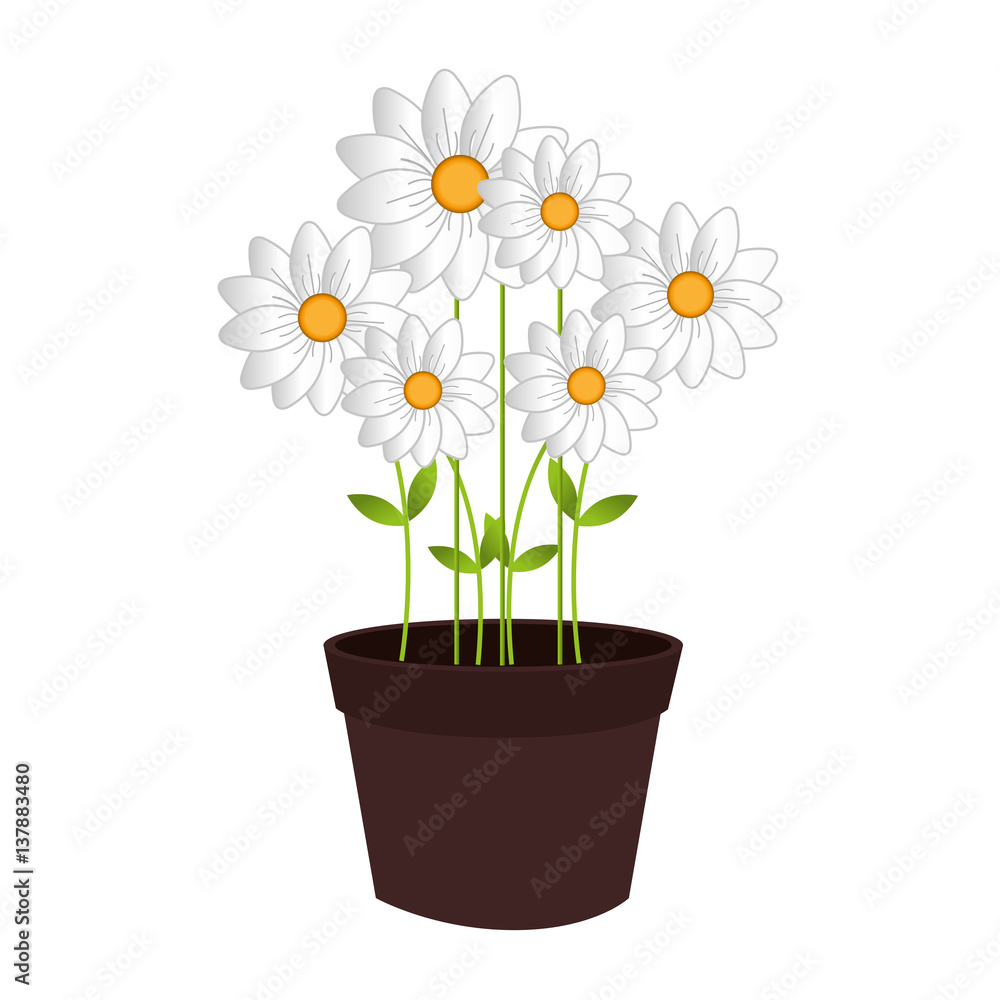 flower pot decorative icon vector illustration design