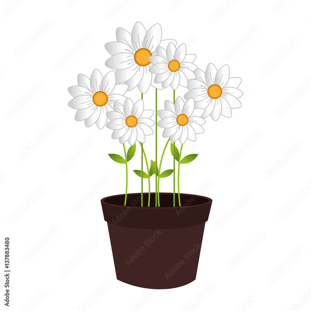 flower pot decorative icon vector illustration design flower pot decorative icon vector illustration design
