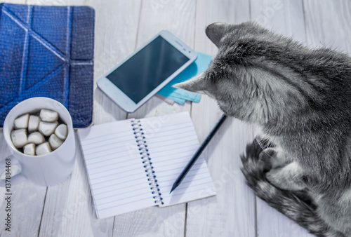 Writing notes with morning coffee photo