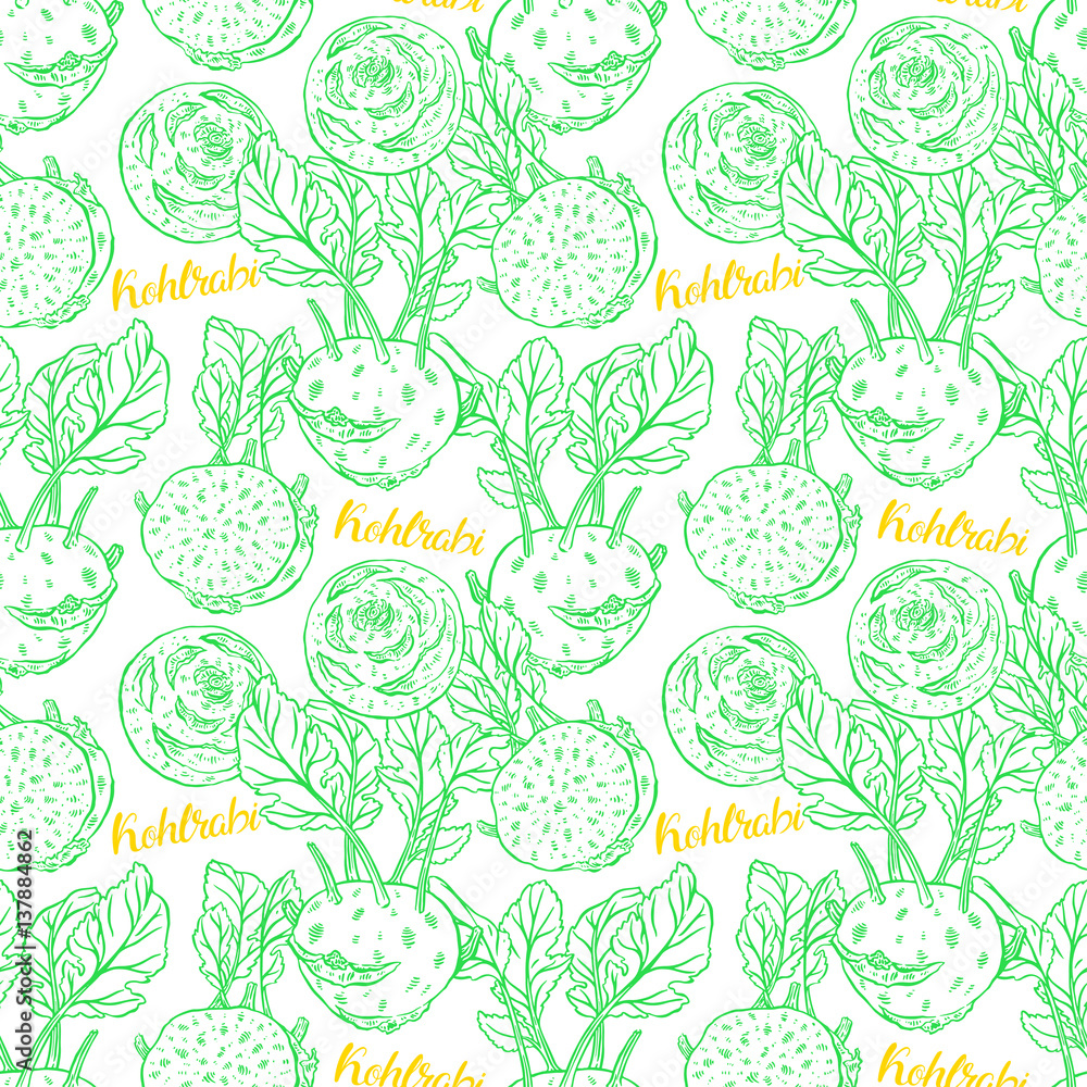 seamless ripe sketch kohlrabi seamless ripe sketch kohlrabi