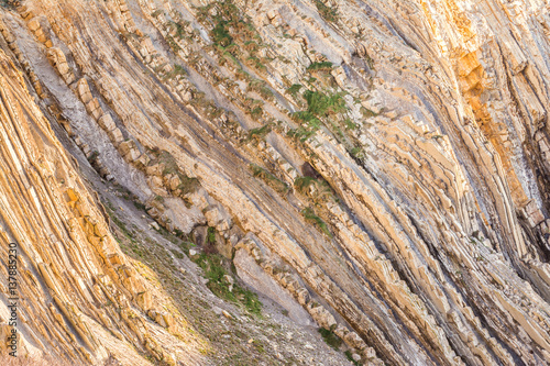 detailed flysch coat at cantabrian coast, Spain