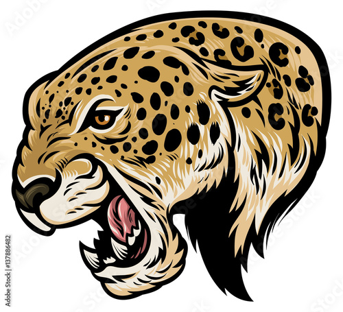 angry aggressive leopard