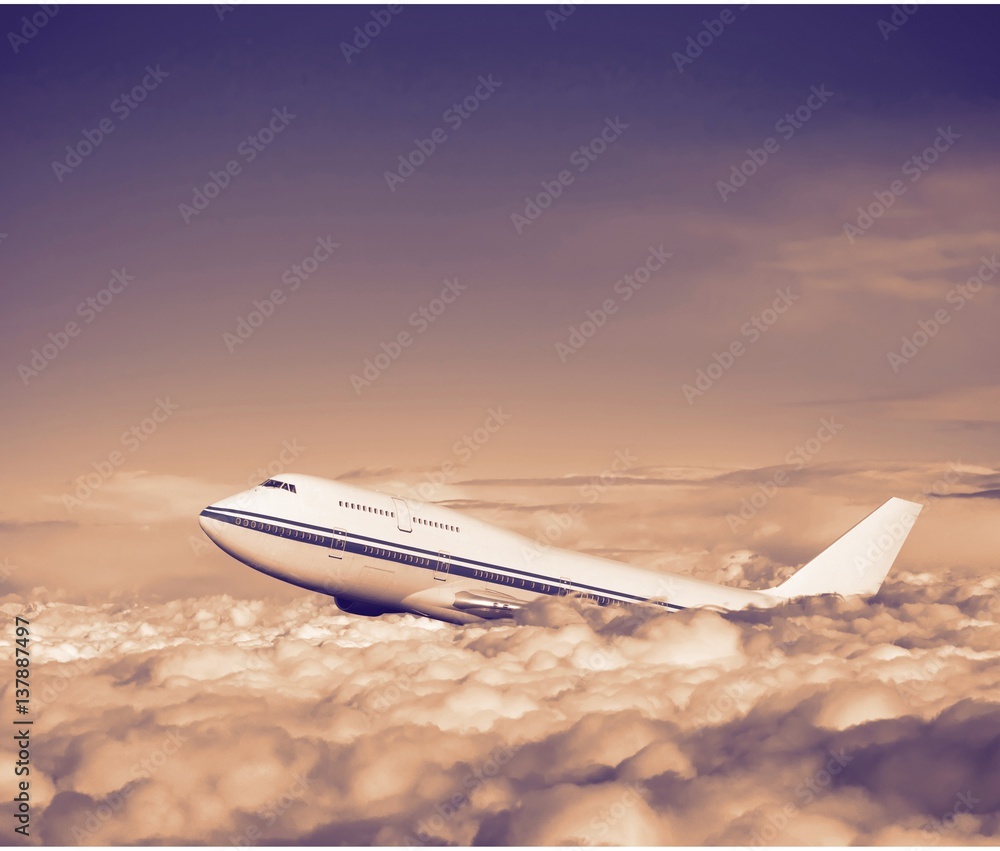 Obraz premium passenger airplane in the clouds.