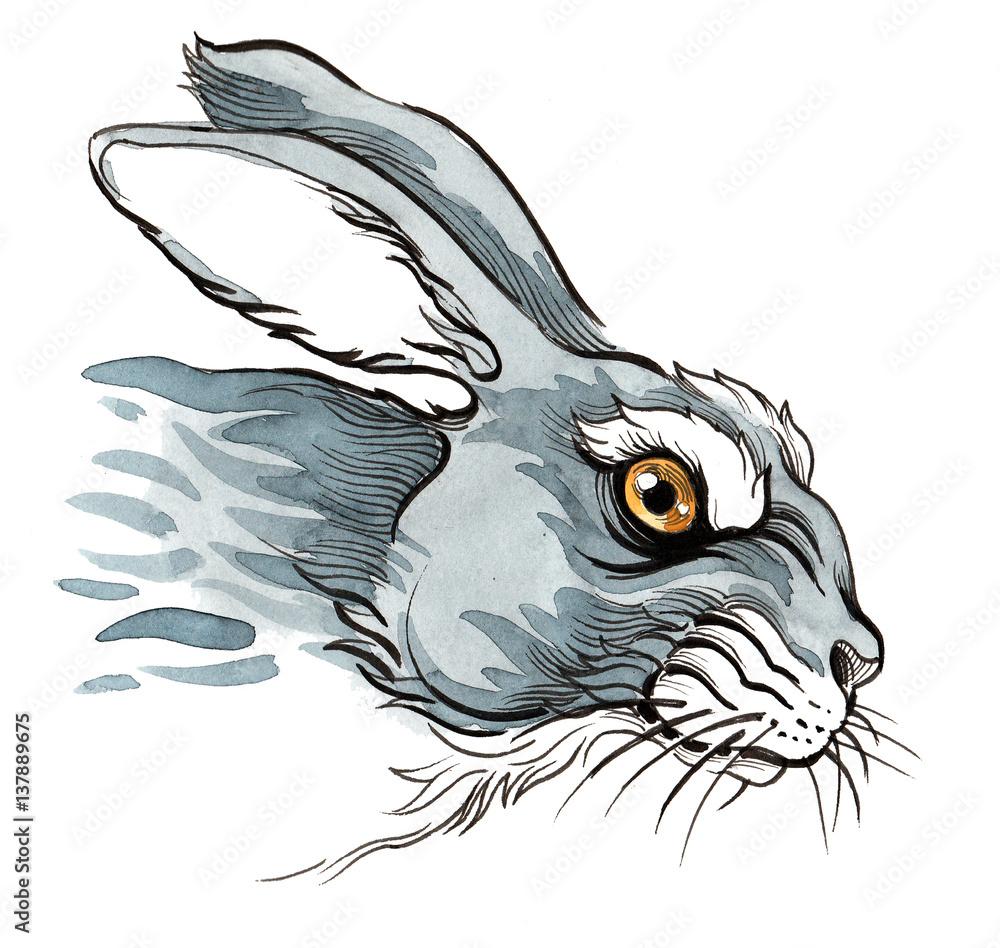 Mad rabbit Stock Illustration