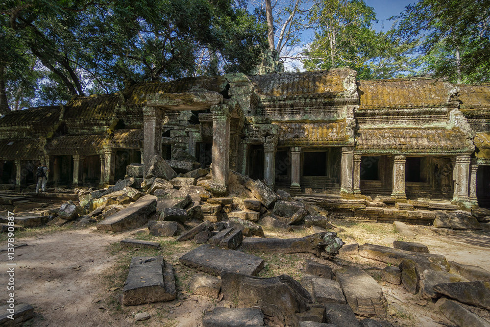 Fototapeta premium Angkor Wat und die Kraft der Natur