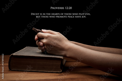 Obraz na plátne hands holding a cross on holy Bible with verse Proverbs 12:20